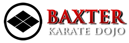 About Shorin Ryu