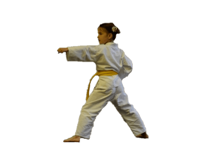 Kids Martial Arts