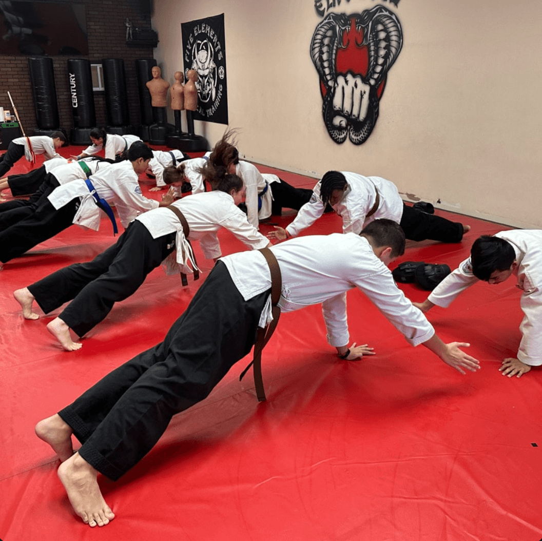 Gain Technique, Strategy, and Mindfulness Through Martial Arts!