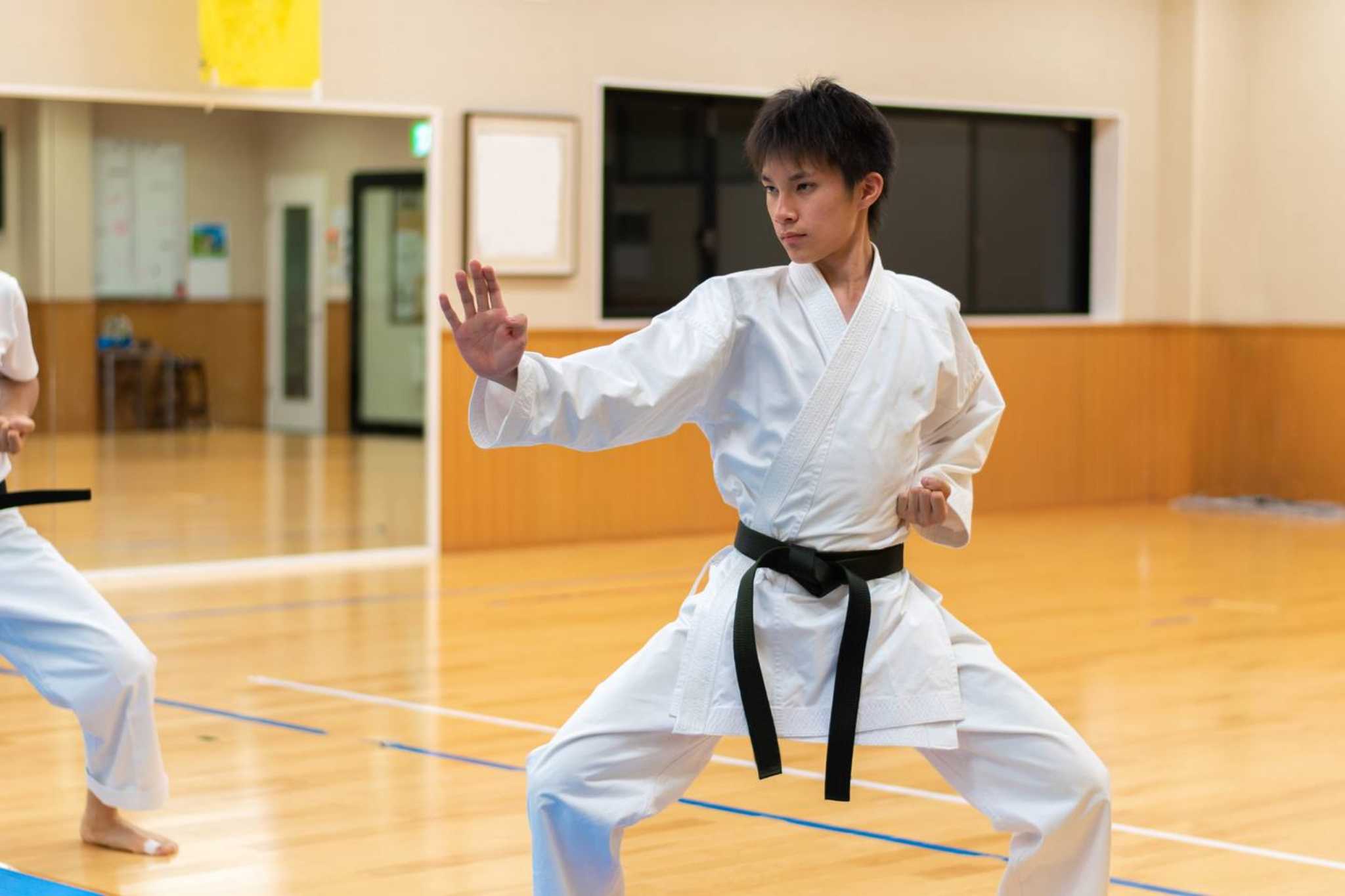 HAPKIDO IS THE ULTIMATE SELF-DEFENSE SYSTEM