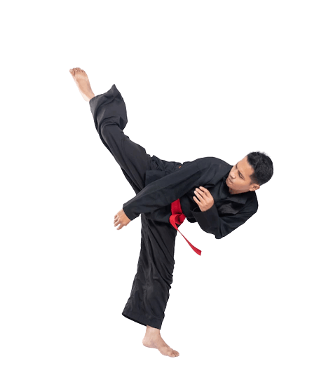 Adult Martial Arts