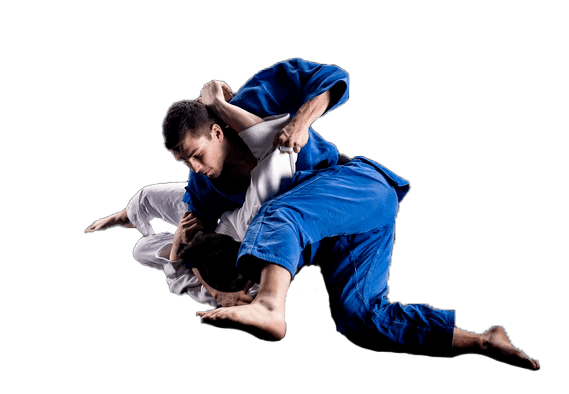 Adult Jiu Jitsu