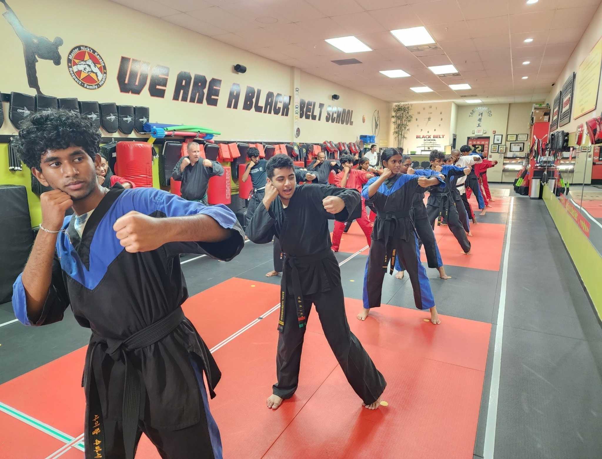 Adult Martial Arts