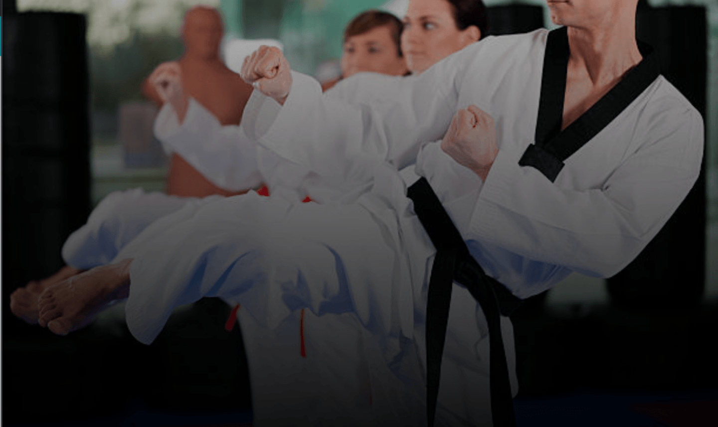 Adult Karate