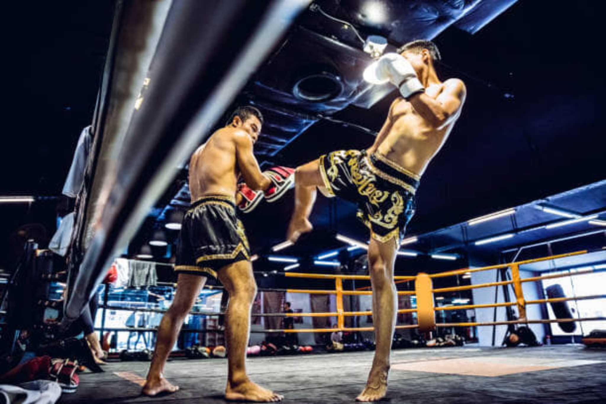 Intermediate Muay Thai/Kickboxing