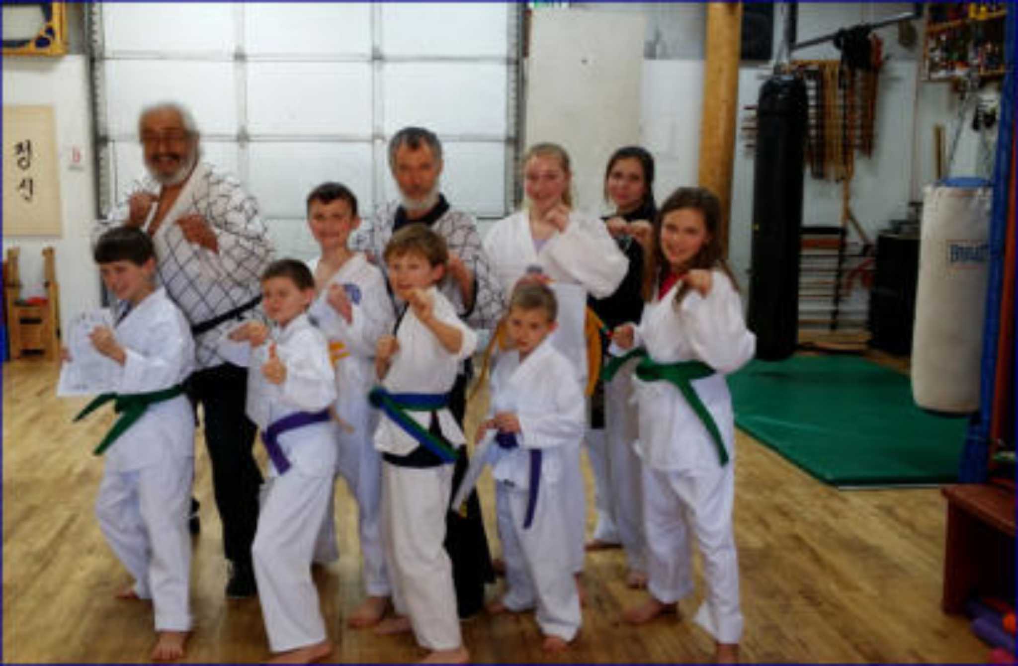 Tae Kwon Do - The Ultimate Defense System!