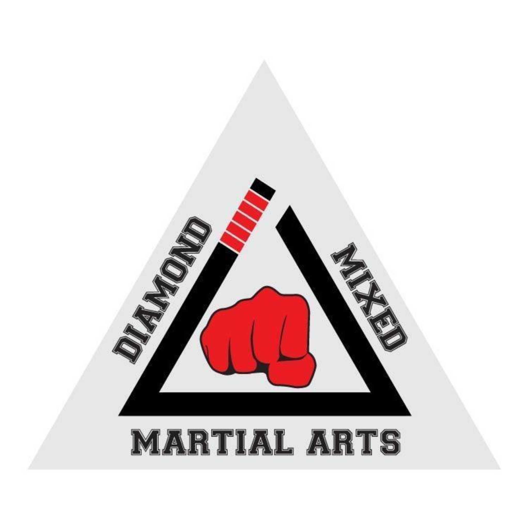 Diamond Mixed Martial Arts Academy MMA Muay Thai Kick Boxing Gracie Brazilian Jiujitsu Commando Krav Maga Get Fit Boot Camp and KidsChildren Mixed Martial Arts Summer Newsletter 2019