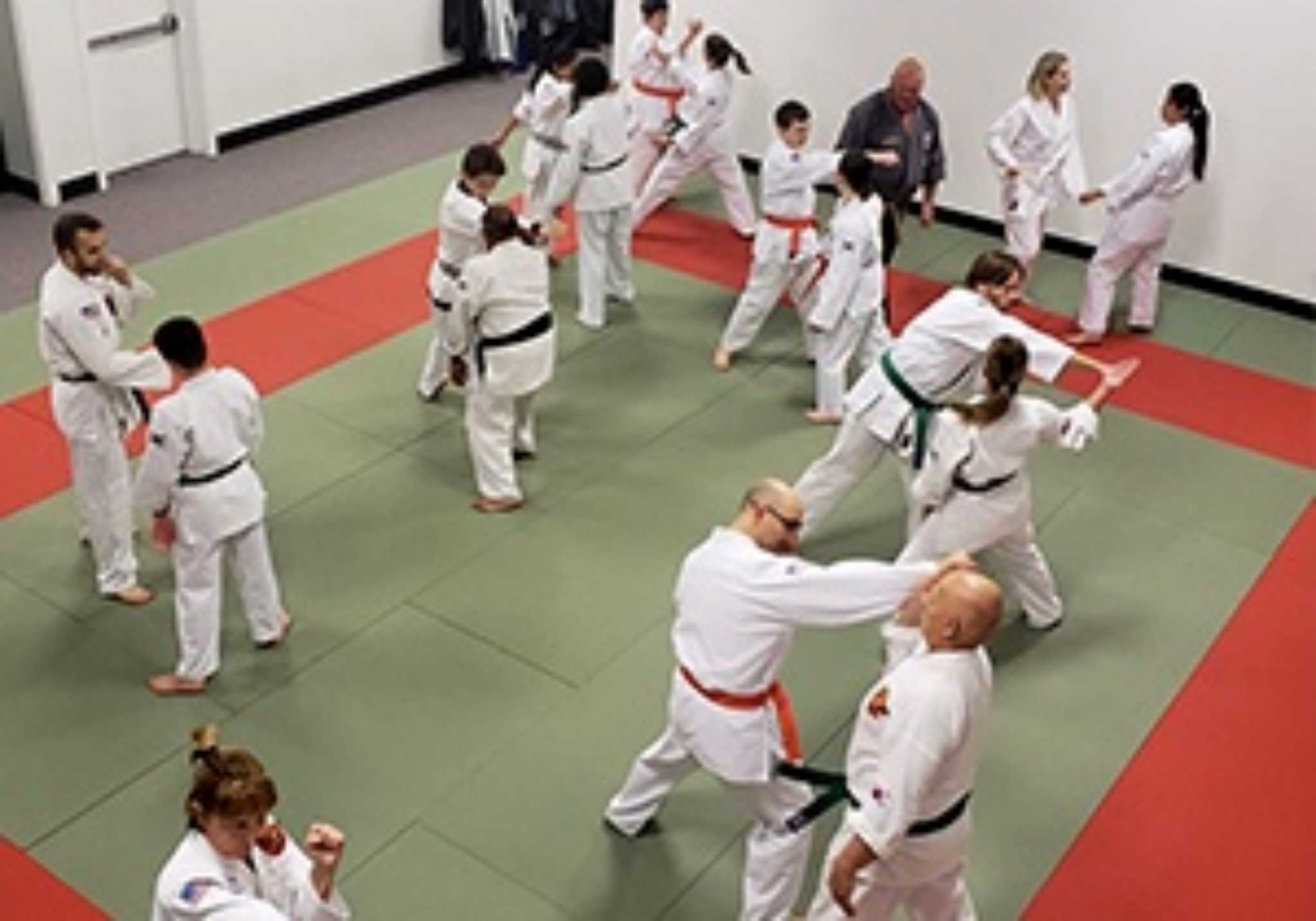 The largest arsenal of Martial arts technique