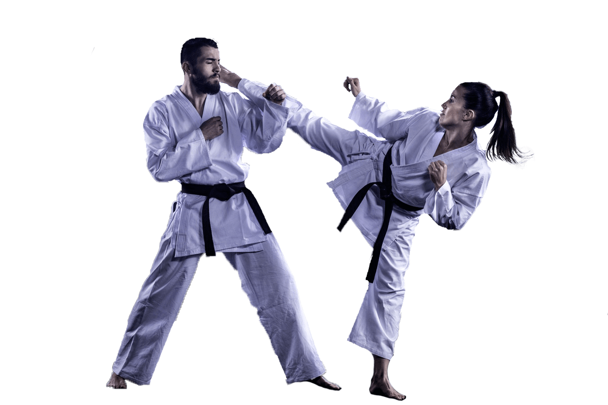 Adult Martial Arts