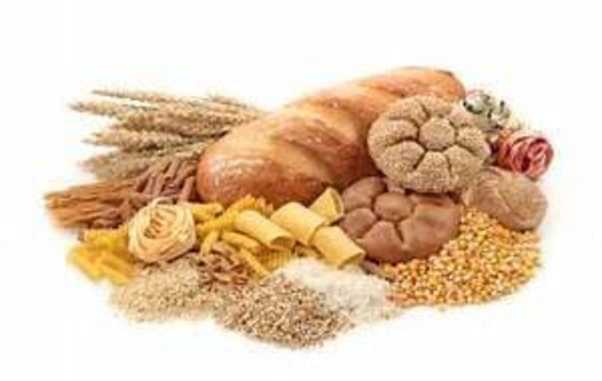 Carbs Are Good!